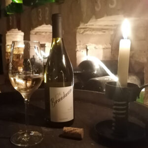 Grüner Veltliner Grande Réserve 2019 „Pluie d’or“