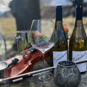 Grüner Veltliner Grande Reserve 2021 „Symphoniker“ Ried Rosenberg