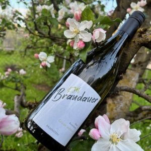 Grüner Veltliner „Flora“ 2024