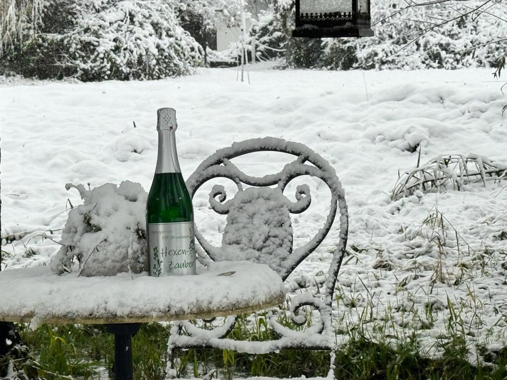 Grüner Veltliner „Hexenzauber“ 2022